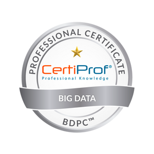 Big Data Professional Certification Exam