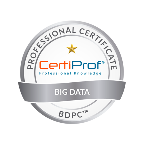 Big Data Professional Certification Exam